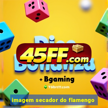 imagem secador do flamengo